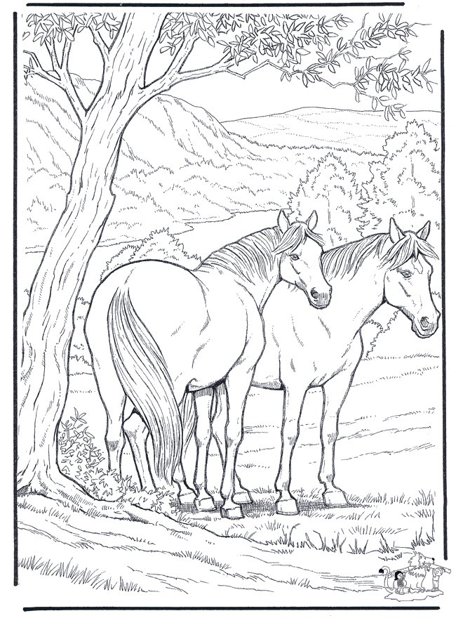 majestic animal coloring pages - photo #32
