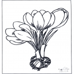Allerlei kleurplaten - Lente bloemen