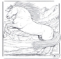 Paard 5