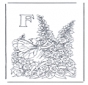 Alfabet F