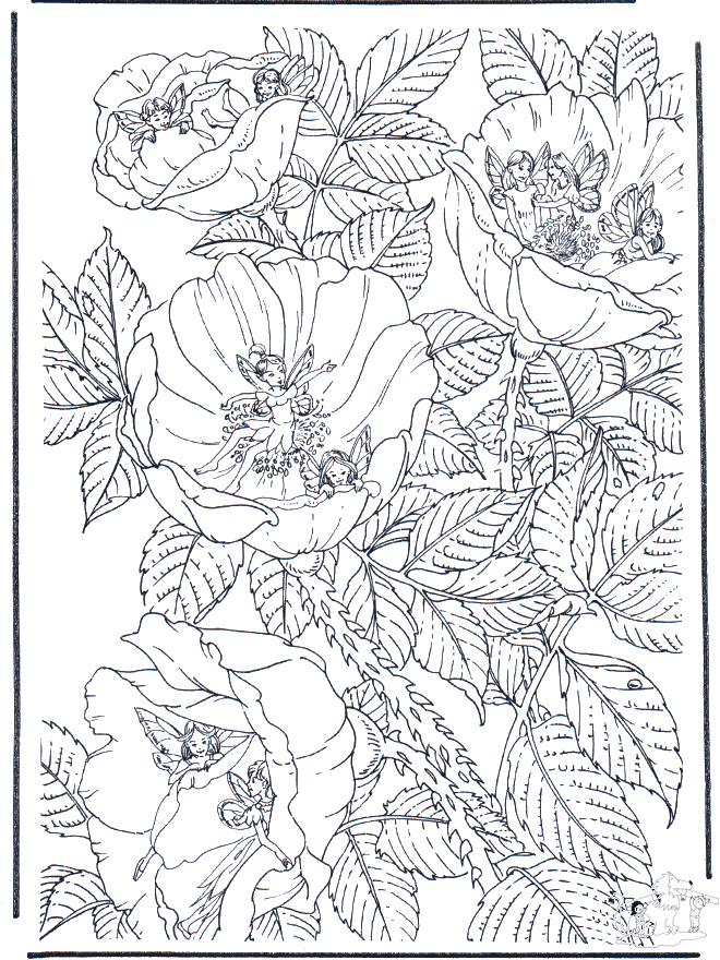 Bloemen met elfjes - Kleurplaten bloemen