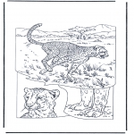 Kleurplaten Dieren - Cheetah