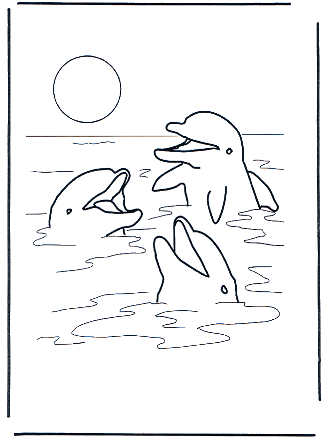 Drie dolfijnen - Dolfijnen en waterdieren