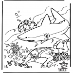 Allerlei Kleurplaten - Duiker en haai