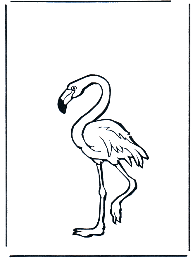 Flamingo - Kleurplaten vogels