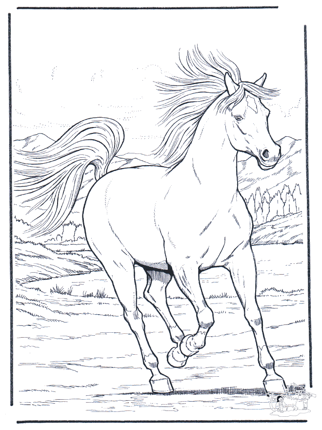 Galopperend paard - Kleurplaten paarden