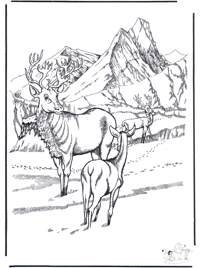 Hert in de sneeuw - Kleurplaten winterdieren