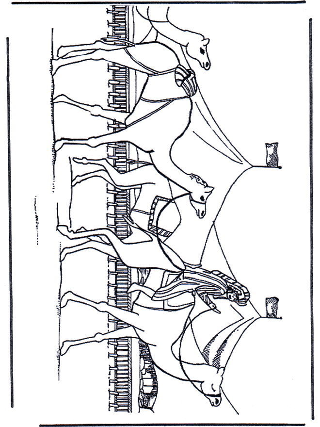 Kamelen - Kleurplaten dierentuin