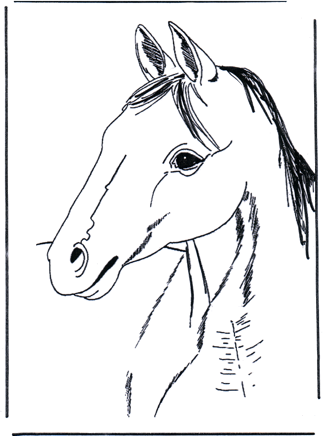 Kleurplaten paarden - Kleurplaten paarden