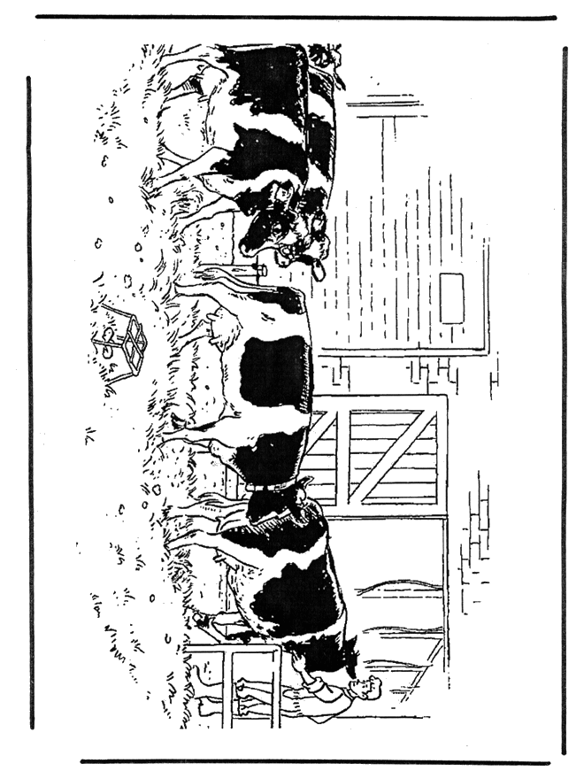 Koeien - Huis en boerderijdieren