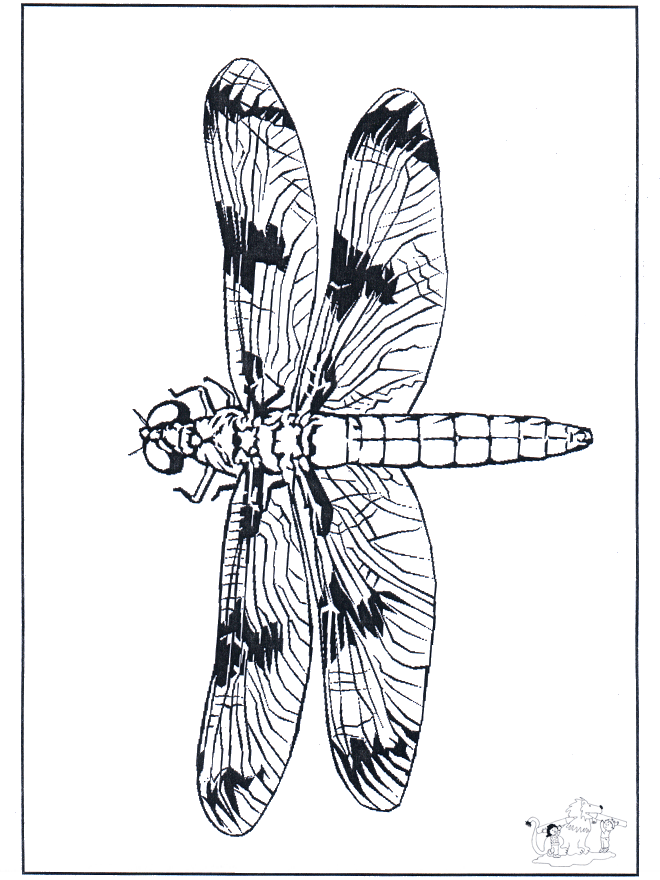Libelle 2 - Kleurplaat insecten