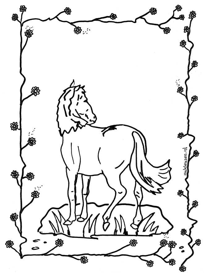 Paard 2 - Kleurplaten paarden