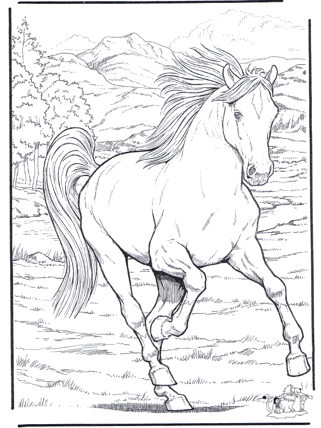 Paard 4 - Kleurplaten paarden