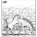 Kleurplaten Dieren - Paard 6