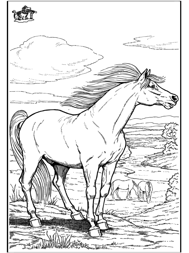 Paard 9 - Kleurplaten paarden