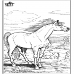 Kleurplaten Dieren - Paard 9