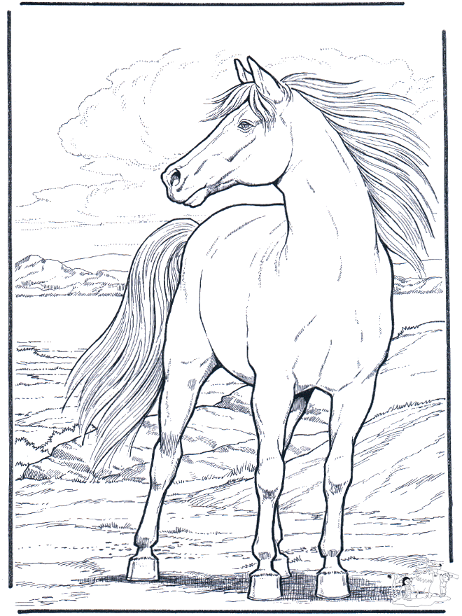 Paard in de wind - Kleurplaten paarden