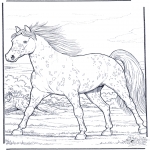 Kleurplaten Dieren - Paard in gallop