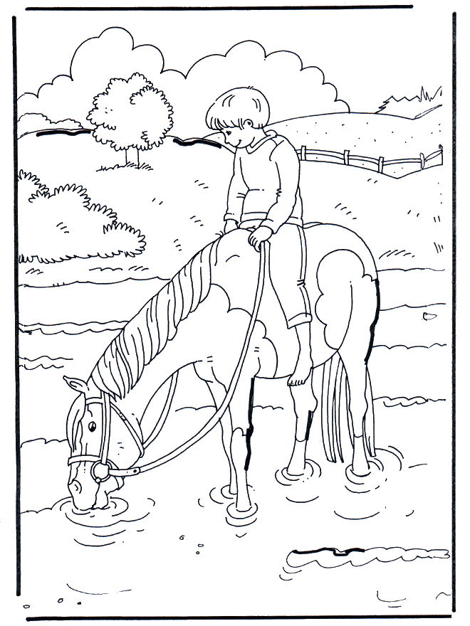 Paard in water - Kleurplaten paarden