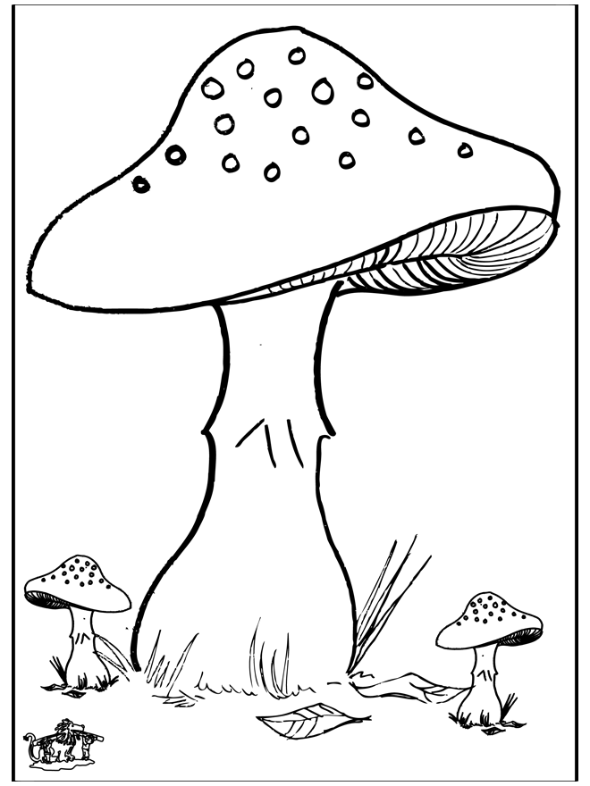 Paddenstoelen 3 - Kleurplaten herfst