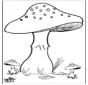 Paddenstoelen 3