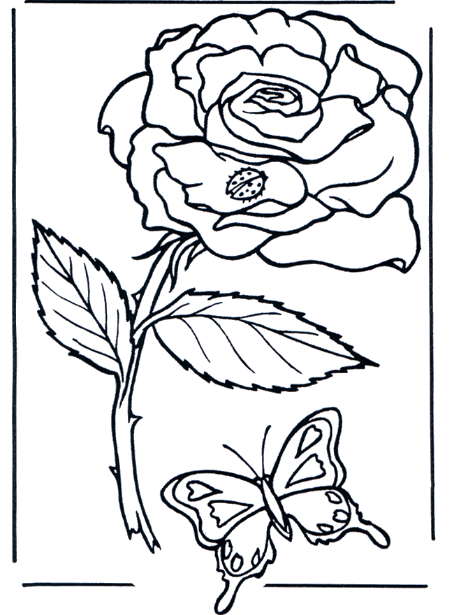 Roos - Kleurplaten bloemen