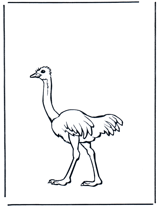 Struisvogel 2 - Kleurplaten vogels