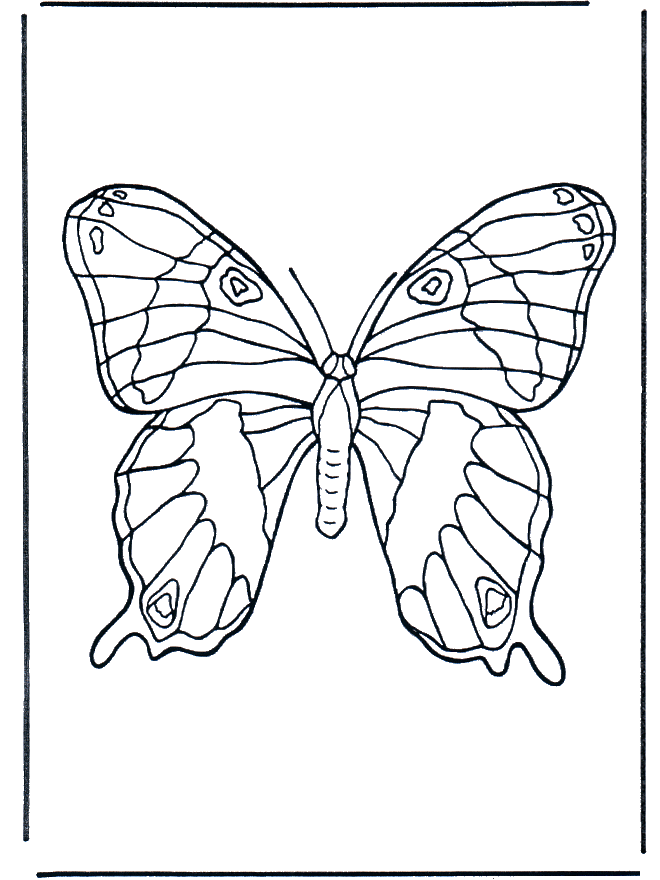 Vlinder 1 - Kleurplaat insecten