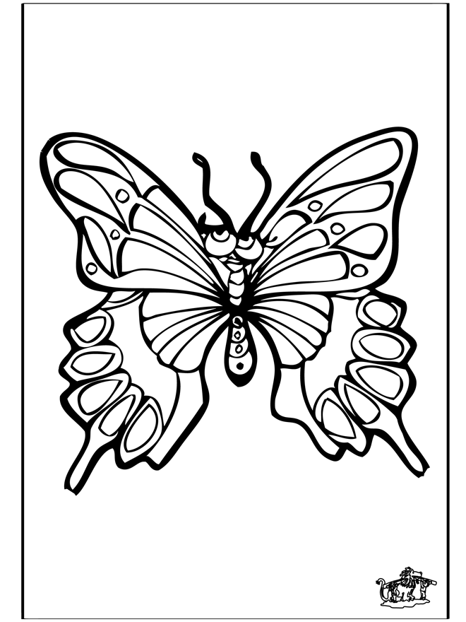 Vlinder 4 - Kleurplaat insecten
