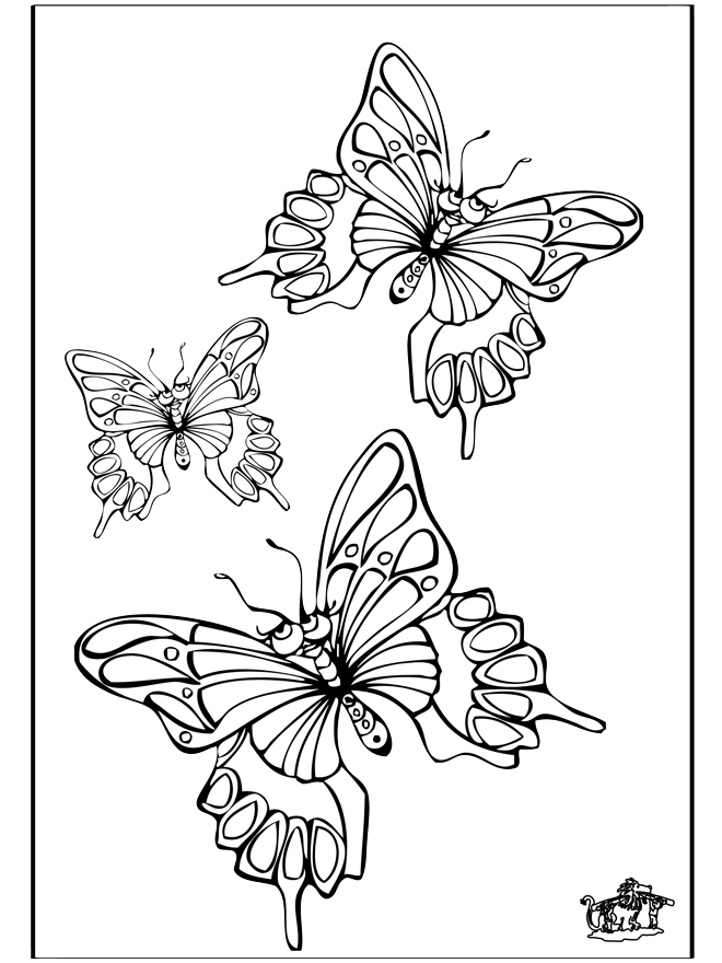 Vlinder 5 - Kleurplaat insecten