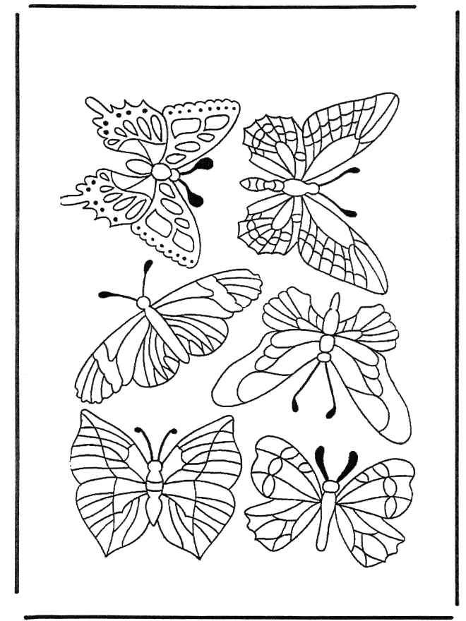 Vlinders 1 - Kleurplaat insecten