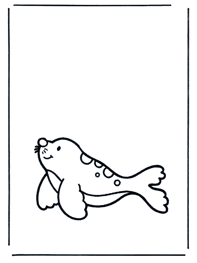 Zeehond 1 - Dolfijnen en waterdieren
